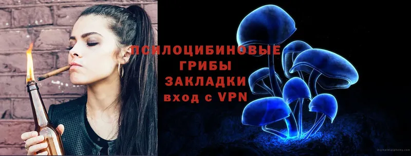 Псилоцибиновые грибы Psilocybe  Борисоглебск 